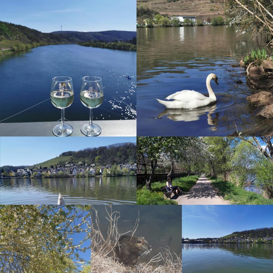 Auszeit Rhein-Mosel Leilighet Waldesch Eksteriør bilde